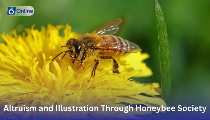 Lesson 23: Definition of Altruism and Illustration Through Honeybee Society